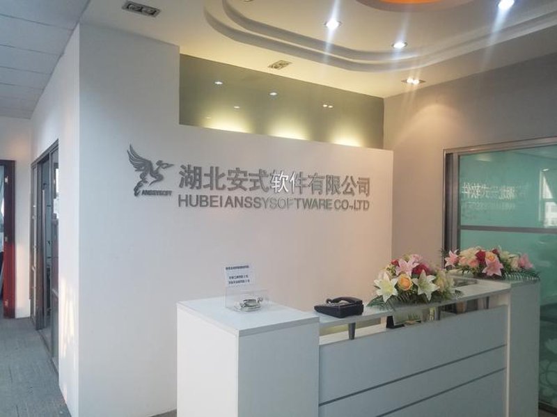 湖北软件开发行业：从初启到辉煌