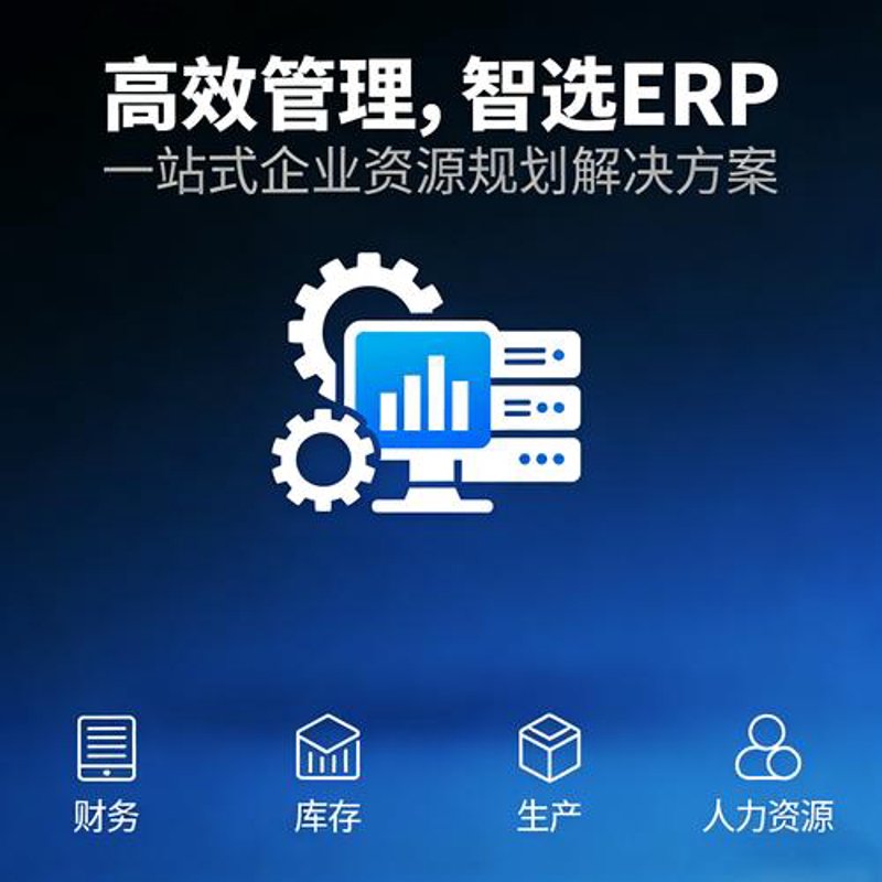 网站开发行业动态：从技术到用户的新视角